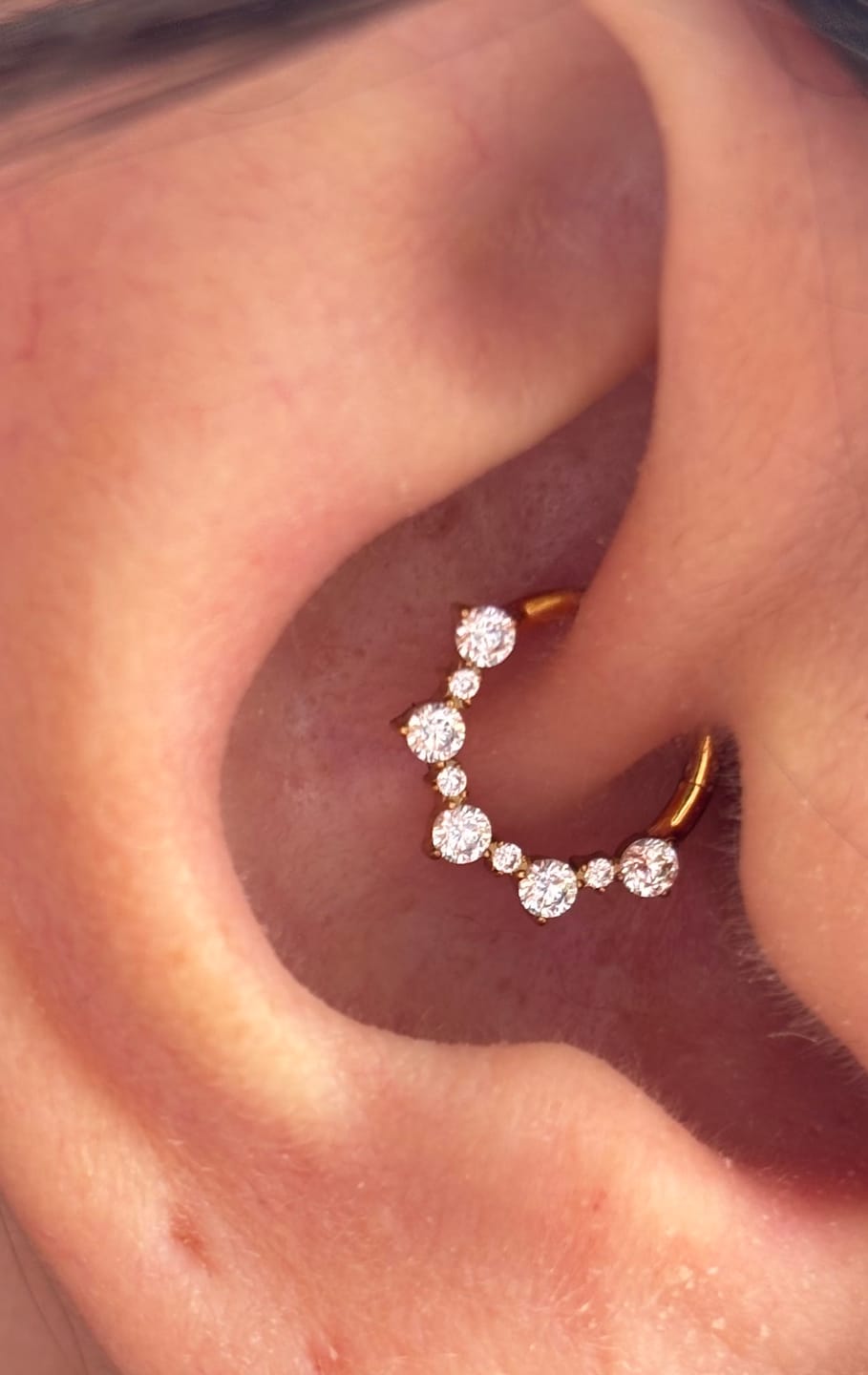 Customer photo review of CAMILLE Daith Hoop