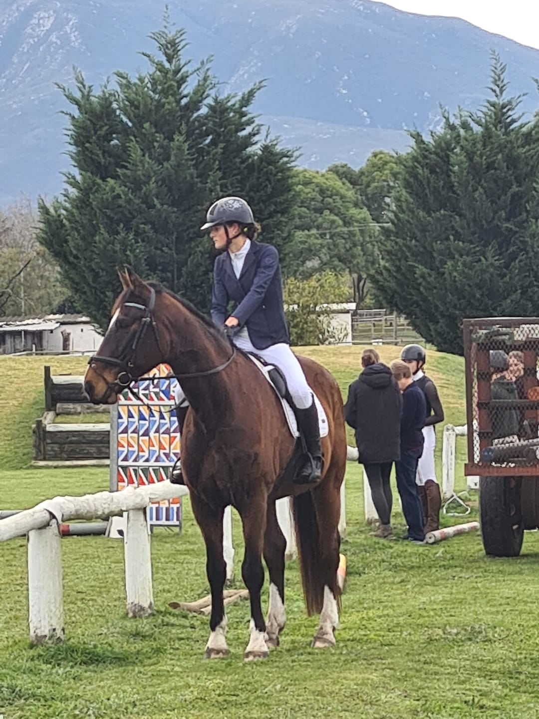 Customer photo review of Moody Master (Natural Calmness, Focus & Gut Support for Horses)