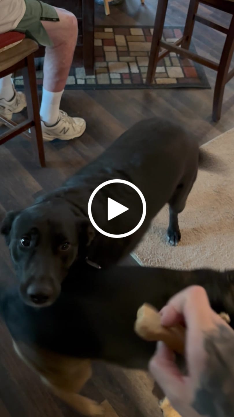 Customer video review of BUY 3 BAGS & SAVE iHeartDogs Allergy & Itch Relief Chews for Dogs