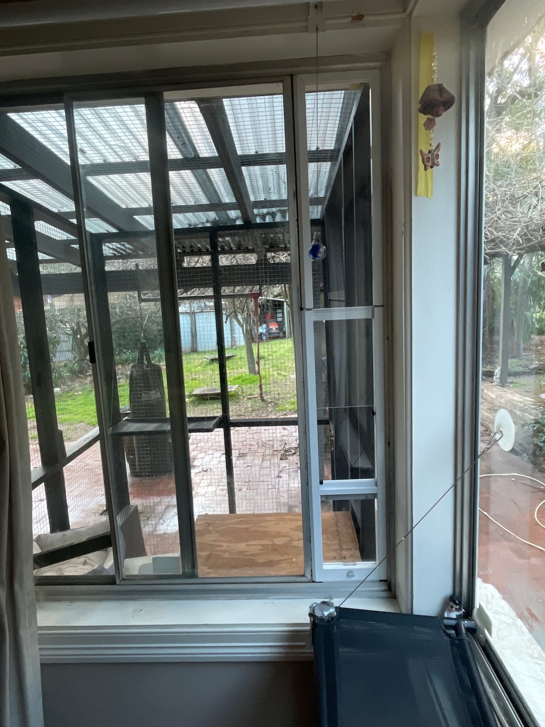 Customer photo review of Cat Door, Cat Window Insert
