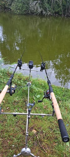 Customer photo review of N-GAUGE PRO FEEDER