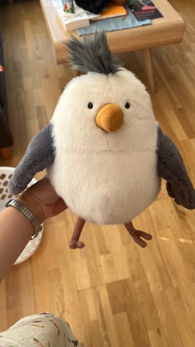 Customer photo review of Chip Seagull | Jellycat