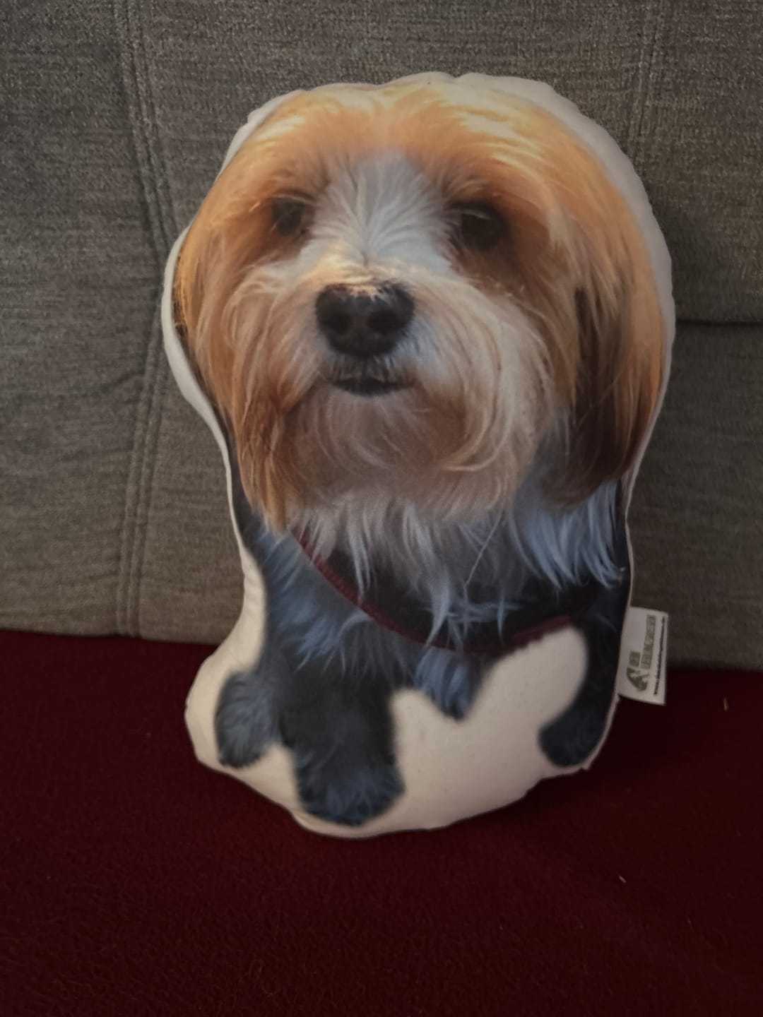 Customer photo review of Personalisiertes Hundekissen