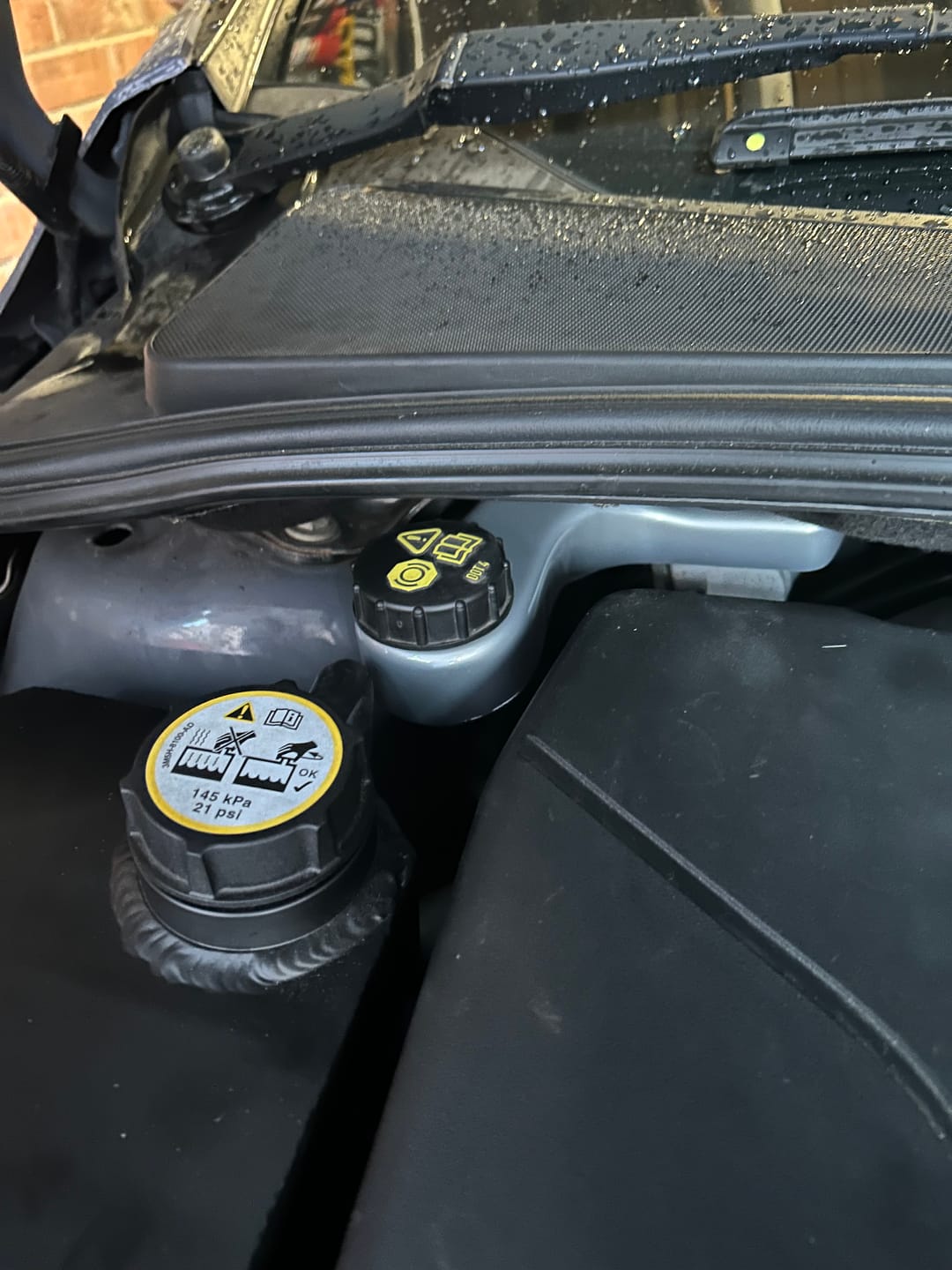 Customer photo review of Proform Brake Reservoir Cover - Mk3/3.5 Focus (Plastic Finishes)