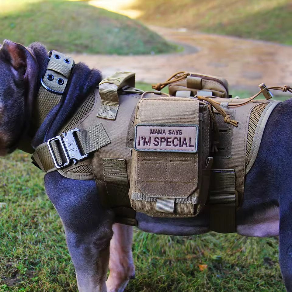 Customer photo review of Striker Military-Grade Tactical No-Pull Harness V4