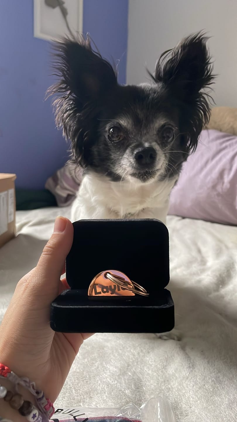 Customer photo review of Dog ID Tag - Rose Gold (With Gift Box)