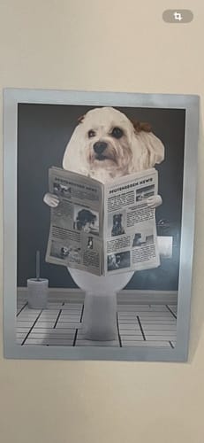 Customer photo review of Mein Hund liest Zeitung - Personalisierbares Poster