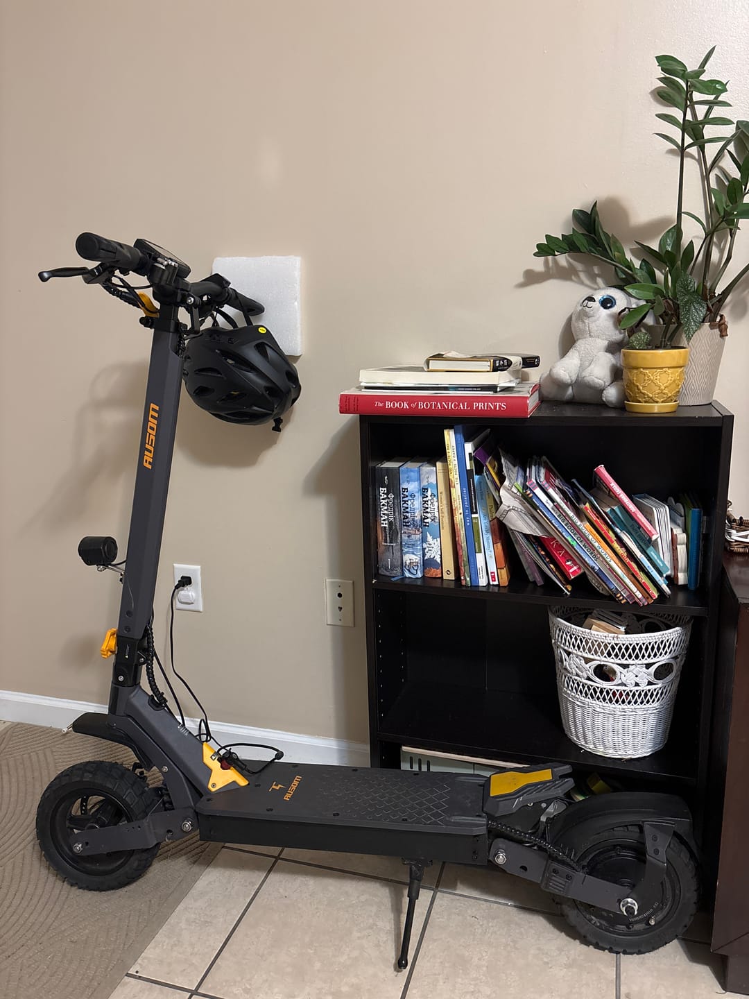 Customer photo review of Ausom L1 Electric Scooter