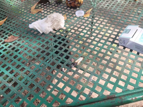 Customer photo review of Maui Wowie - 28 Grams Littles - Sativa