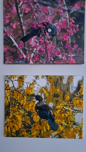 Customer photo review of Tui in Kowhai Tree