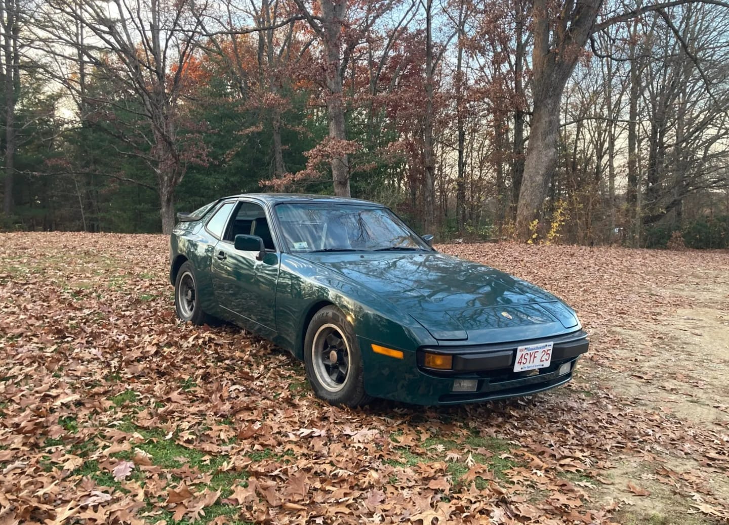 Customer photo review of Mallcas™ Glossy Mohsen Green Vinyl Wrap (PET Liner)