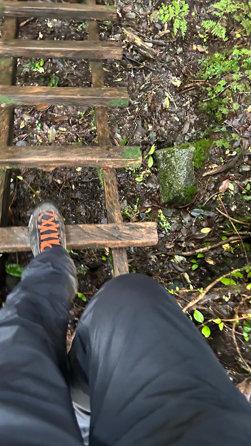 Customer photo review of Zapato Hombre MTN Trainer Mid GTX