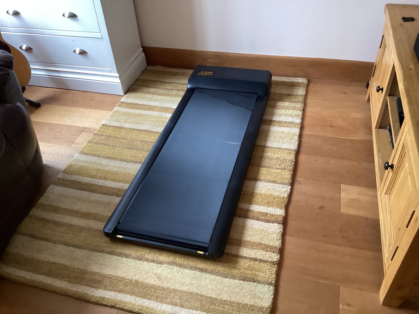 Customer photo review of WalkingPad A1 Pro