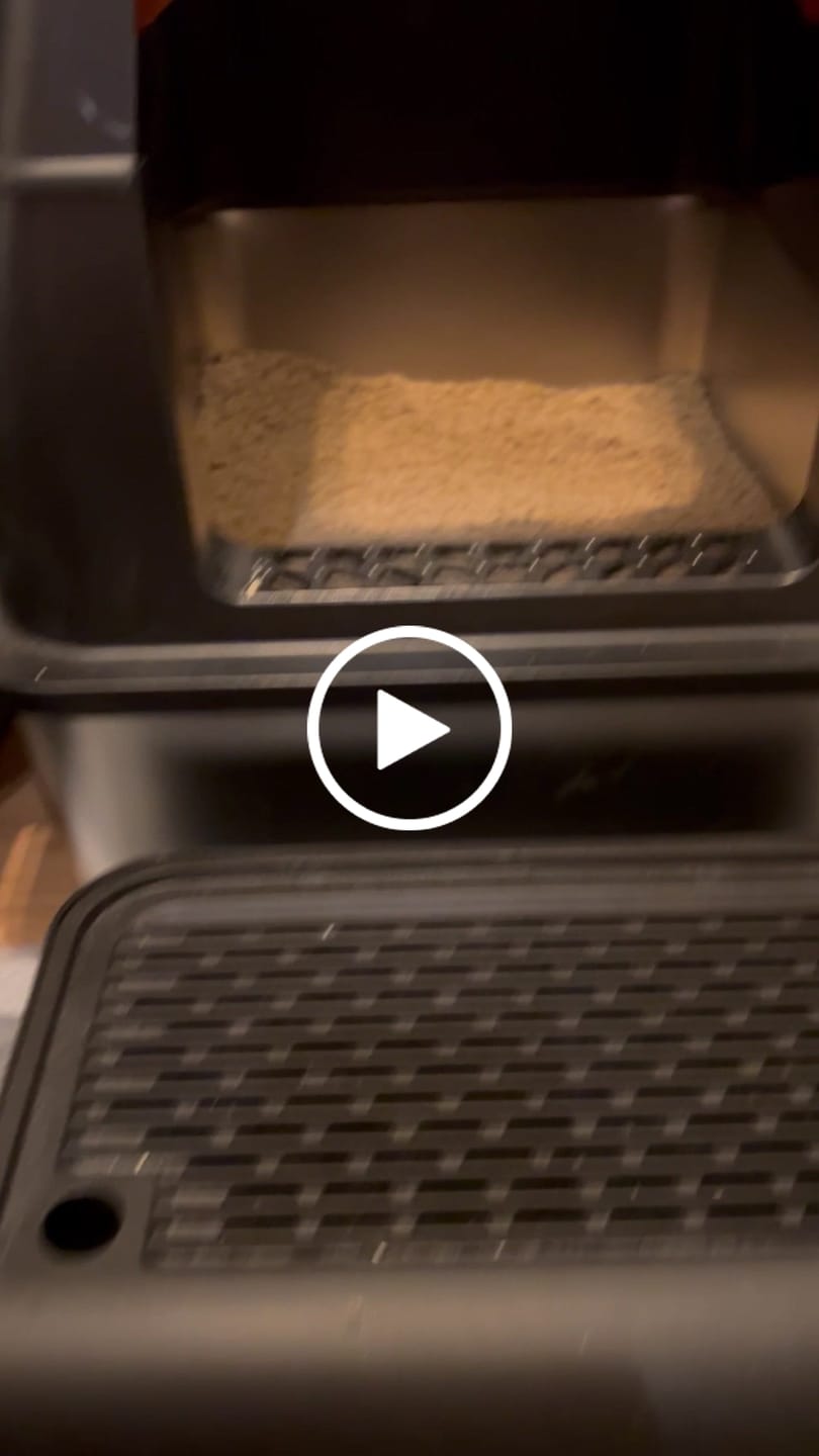 Customer video review of LittyBag - La Prima Sabbietta Naturale a Clumping Superficiale
