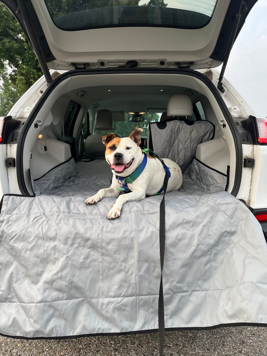 Customer photo review of SUV Cargo Liner for Fold Down Seats - Large