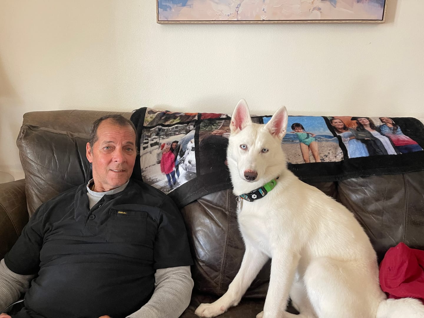 Customer photo review of FurLife™ - Natural Pheromone Calming Collar for Dogs