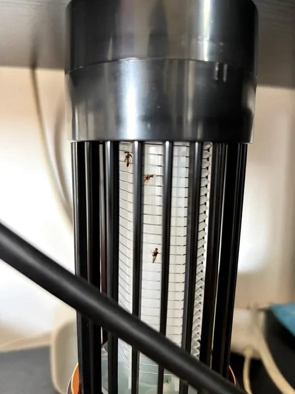 Customer photo review of Moskito Fallen Licht