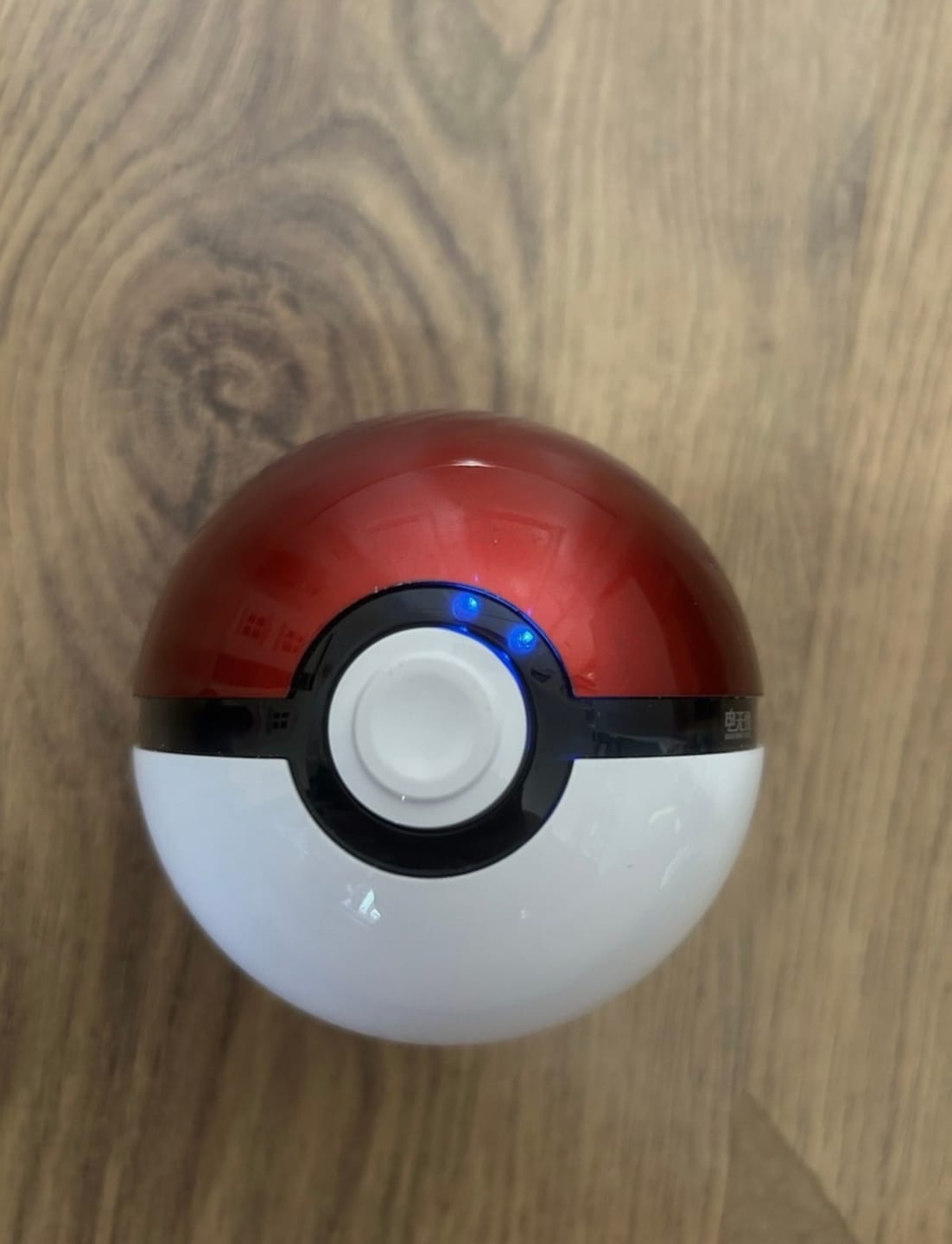 Customer photo review of Powerbank Ball