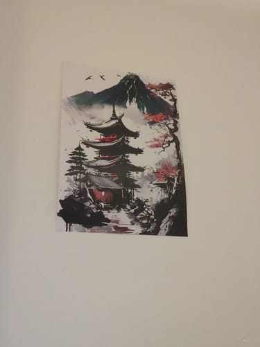 Customer photo review of Affiche Japonaise Vue sur Pagode