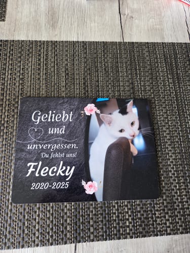 Customer photo review of Katzen Gedenktafel mit Foto & Spruch (UV- & Wetterfest)