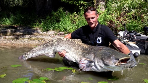 Customer photo review of Kanama Smart Bait Pro