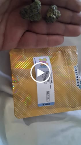 Customer video review of Gelato Cake - 4 Grams - Hybrid