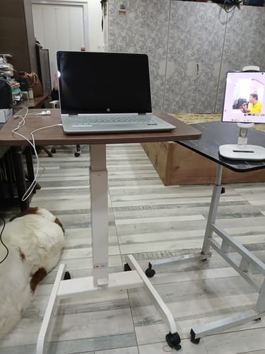 Customer photo review of Frido Portable Standing Desk