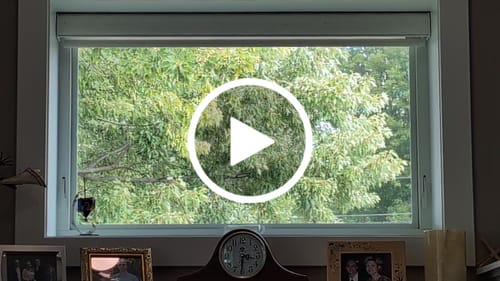 Customer video review of SmartWings Motorized Roller Shades 100% Blackout Linen