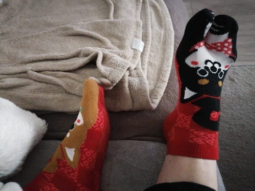 Customer photo review of Chaussettes Tabi Shiba Inu