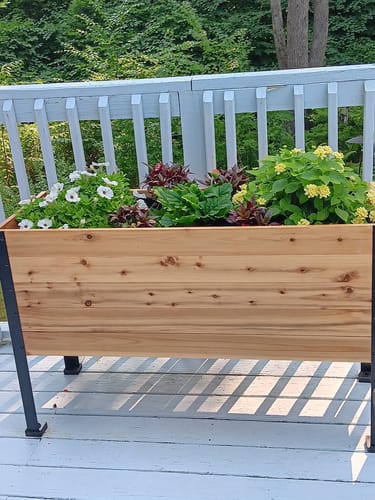 Customer photo review of 18" x 48" Raised Garden Bed