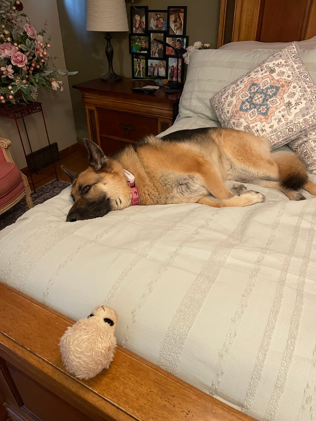Customer photo review of Muscle Mat Luxury Mattress Topper - 4 Inches Thick