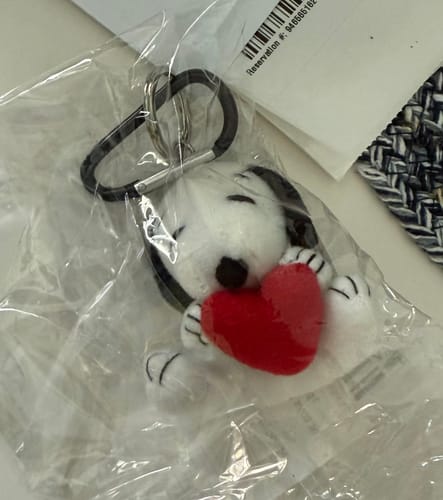 Customer photo review of Snoopy Plush Keychain
