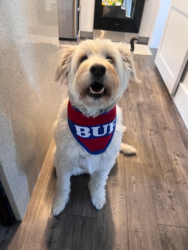 Customer photo review of Buffalo Knit Bandana