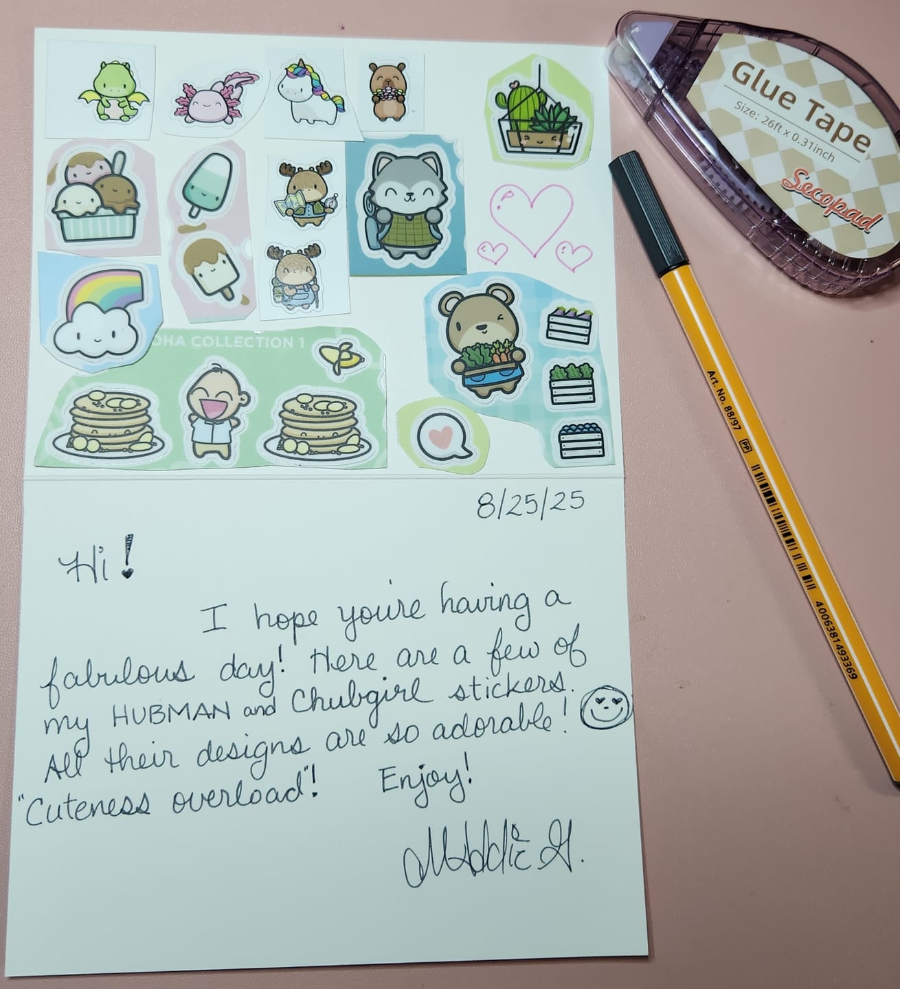 Customer photo review of Icecream Date Variety Sticker Pack