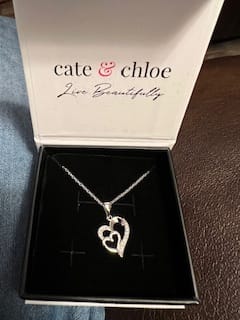 Customer photo review of Jennifer 18k White Gold Plated Double Heart Necklace with Swarovski Crystals