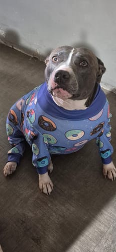 Customer photo review of Dog Pajama - Donuts