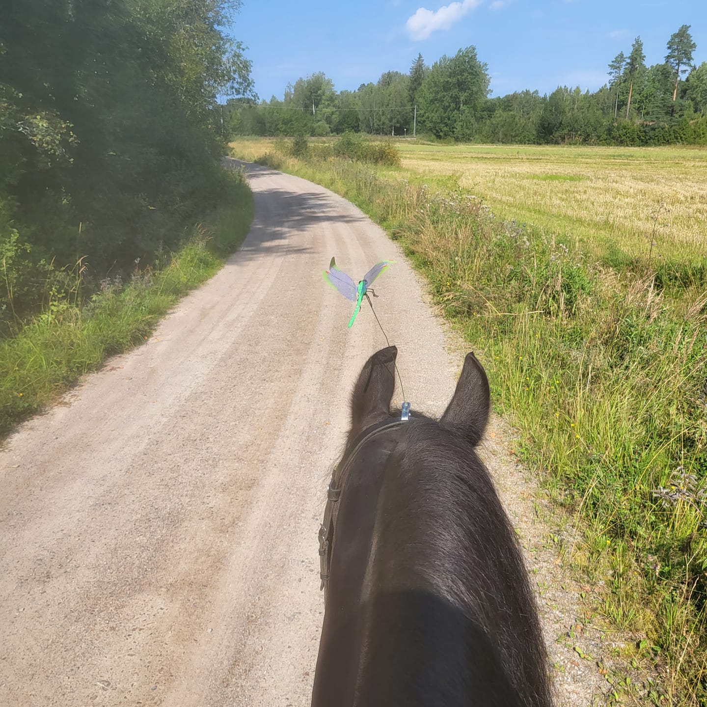 Customer photo review of Trollsländan - Bromsens värsta fiende