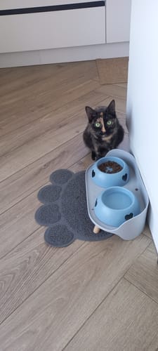 Avis photo d'un client sur Coffret Découverte Chaton - 1kg Croquettes + 8 Pâtées + 3 probiotiques