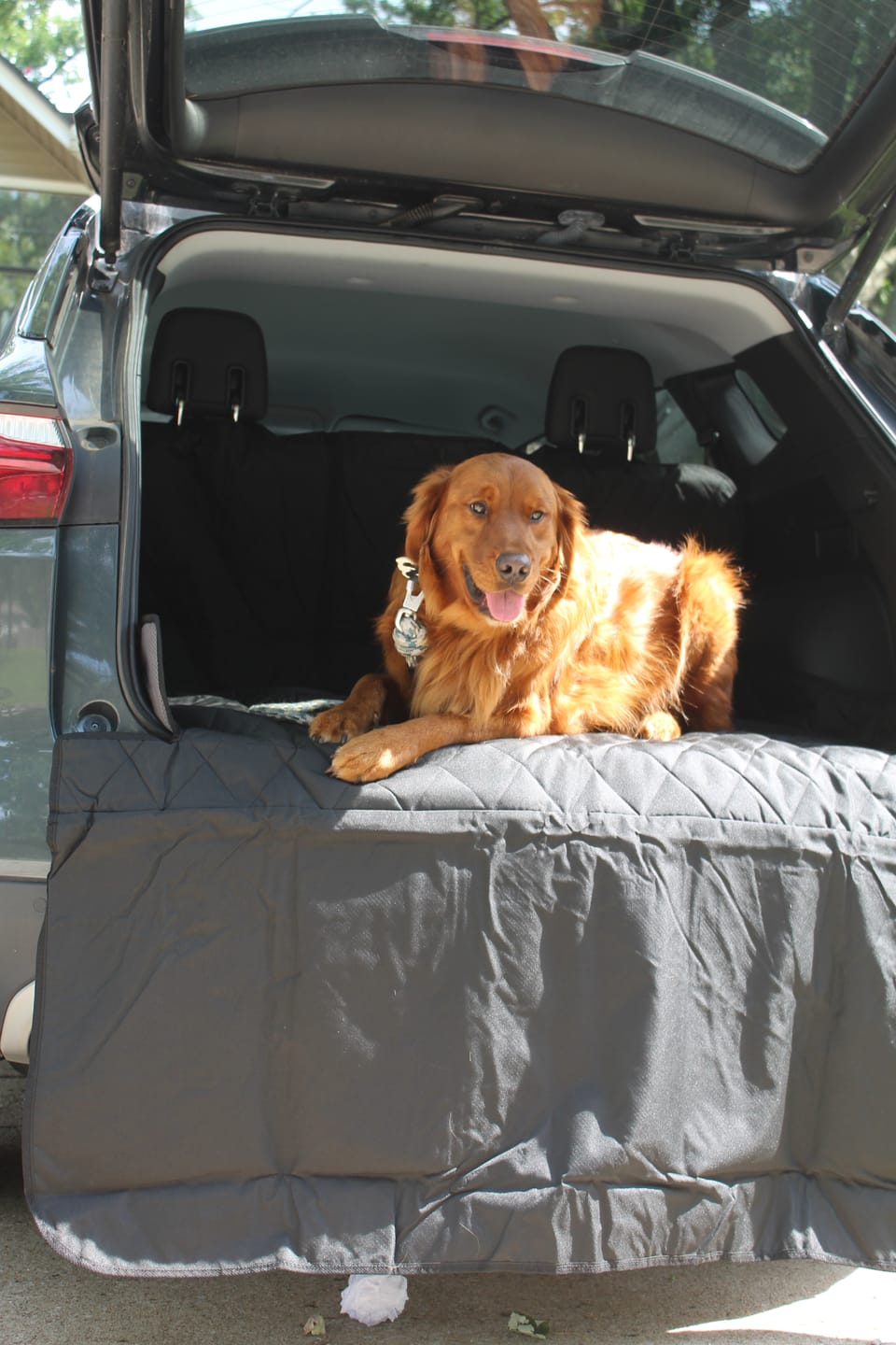 Customer photo review of SUV Cargo Liner for Fold Down Seats - Large