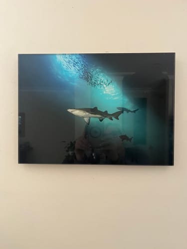 Customer photo review of Acrylic Mounting Panel - 25 x 35 cm