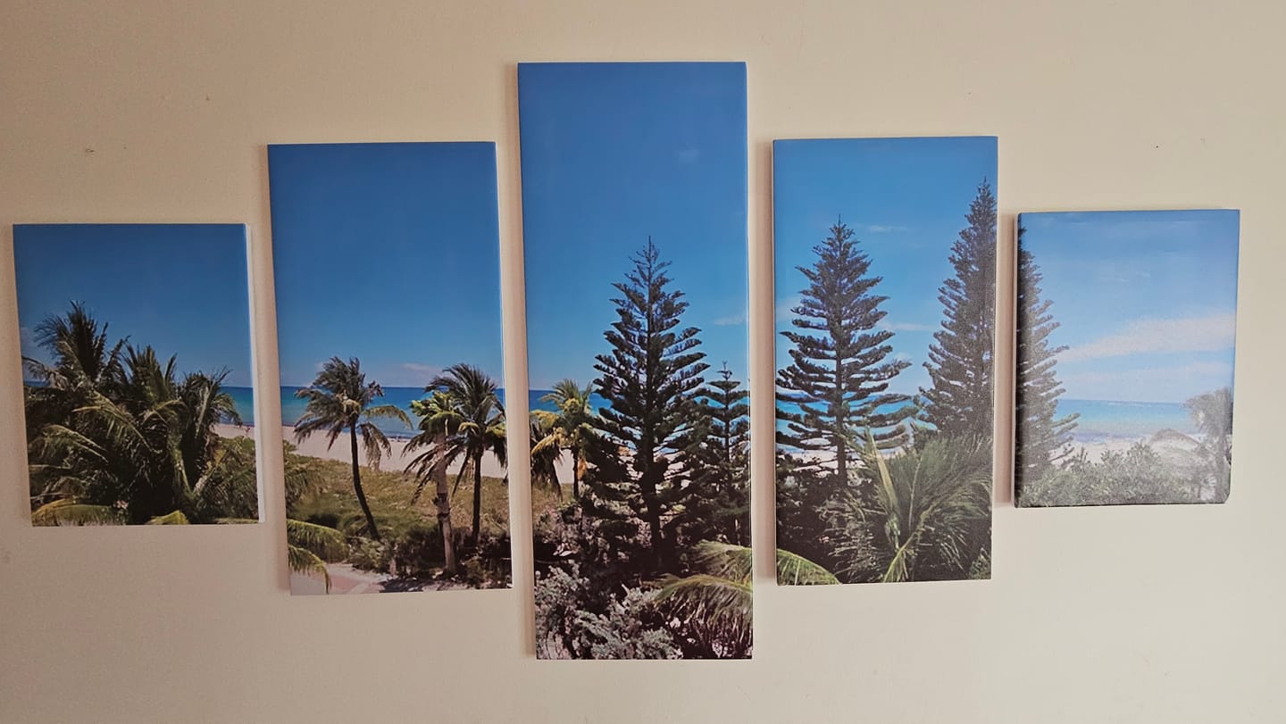 Customer photo review of Custom 5 Panel Canvas Print Wall Art - Do It Yourself (DIY) Or Let Us Do It For You (LUDIFY)!