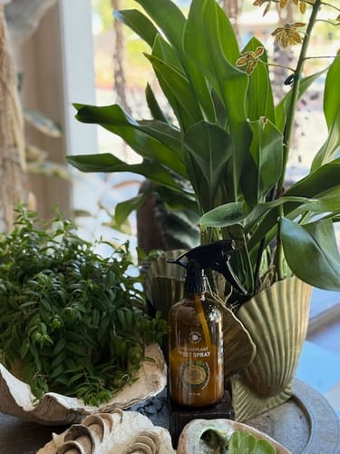 Customer photo review of Houseplant Pest Spray