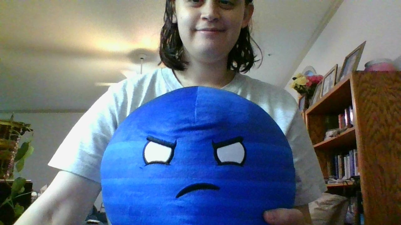 Customer photo review of The SolarBalls Planet X Plush
