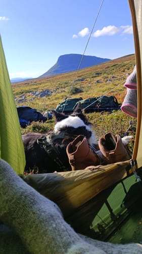 Customer photo review of Vaistoa Uoma 2 -paljasjalkavaelluskengät