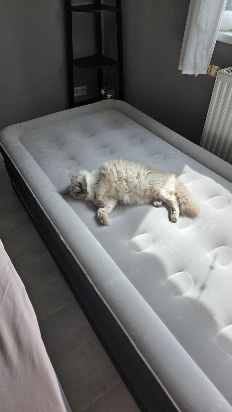 Customer photo review of Luftmatratze selbstaufblasend