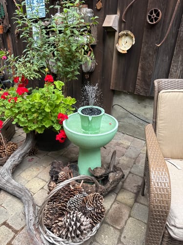 Customer photo review of Alba Cordless Fountain