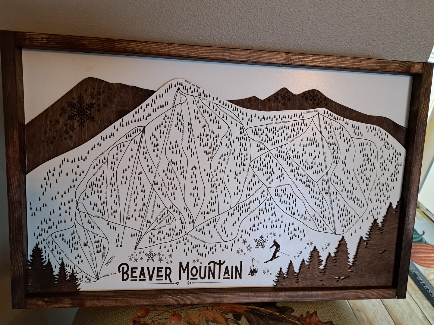 Customer photo review of Beaver Mountain Ski Resort Map Sign | Laser Engraved & Framed Wall Art