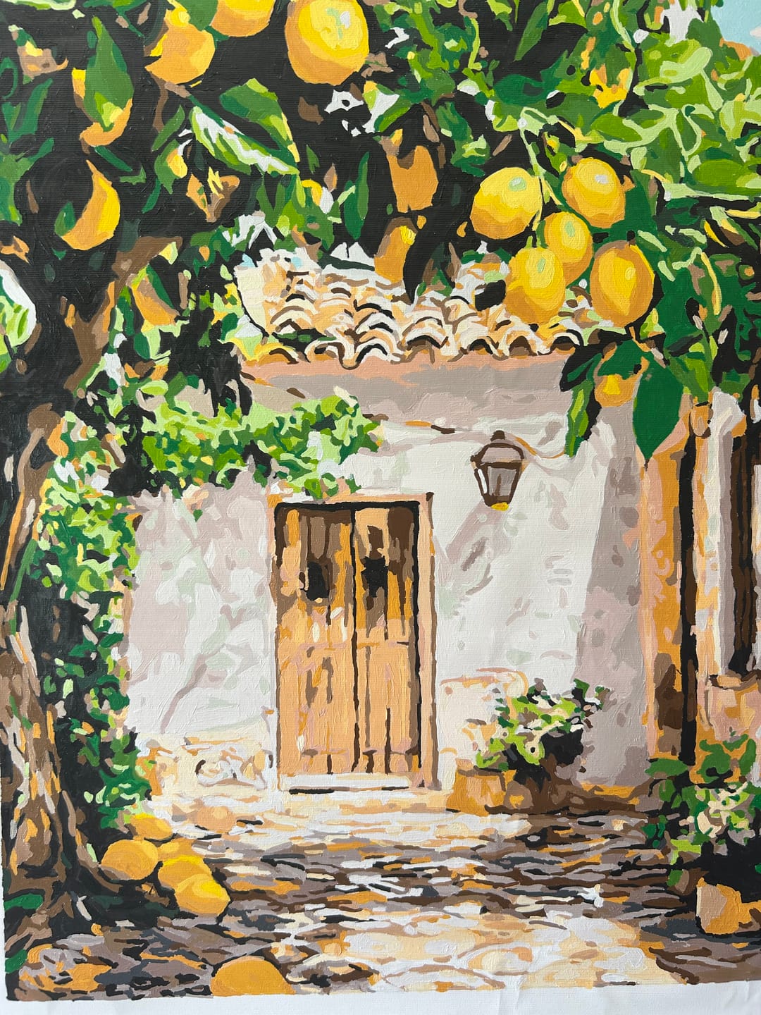 Customer photo review of Lemon Yard