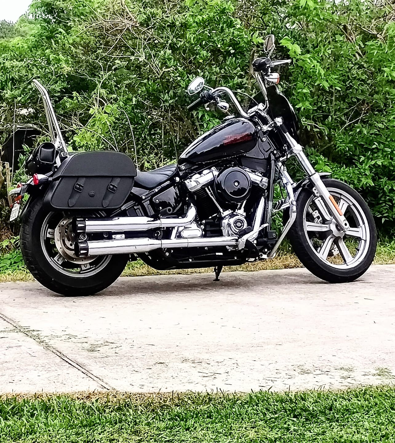 Customer photo review of 28L - Baelor Medium Quick Mount Motorcycle Saddlebags For Harley Softail Street Bob FXBB