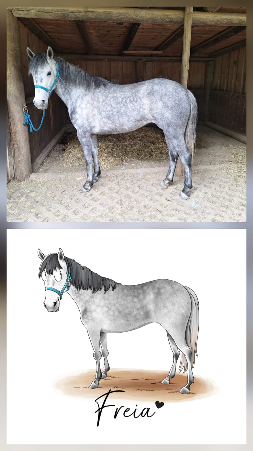 Customer photo review of mrs. RIDE® Solo Star